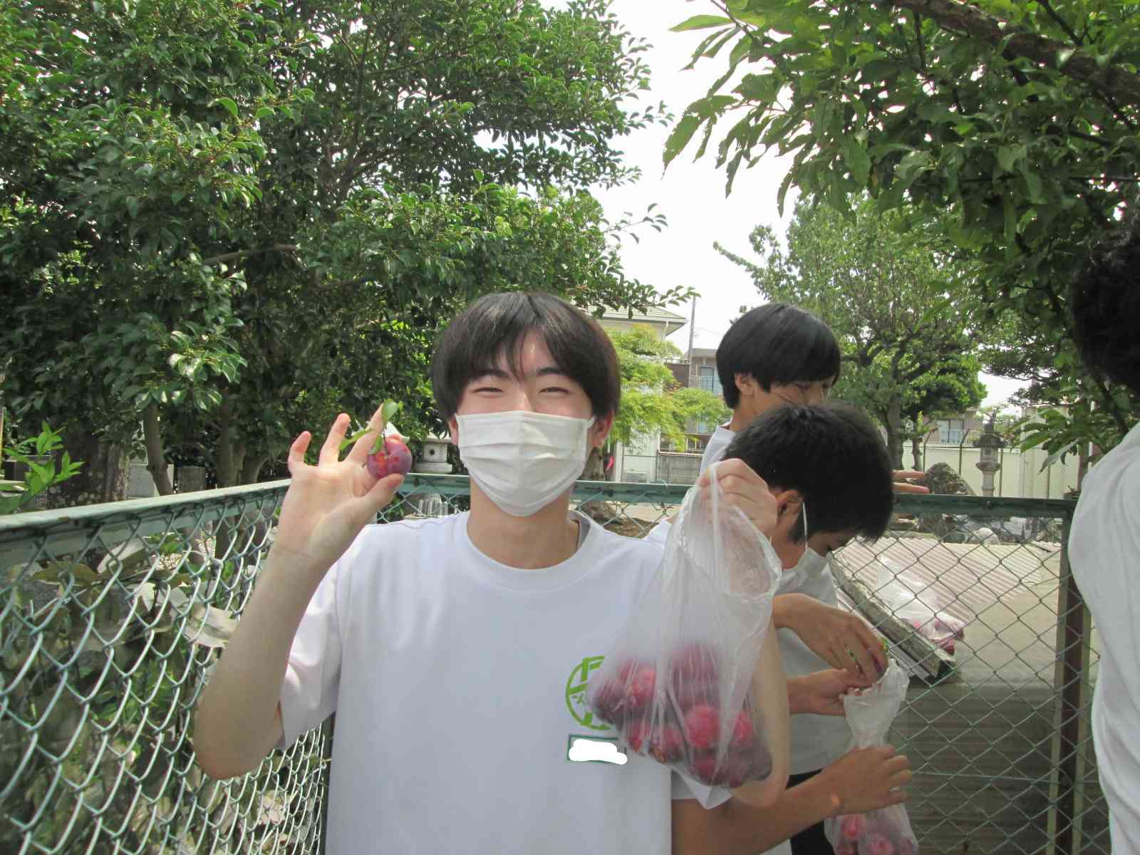 file687569a438f14